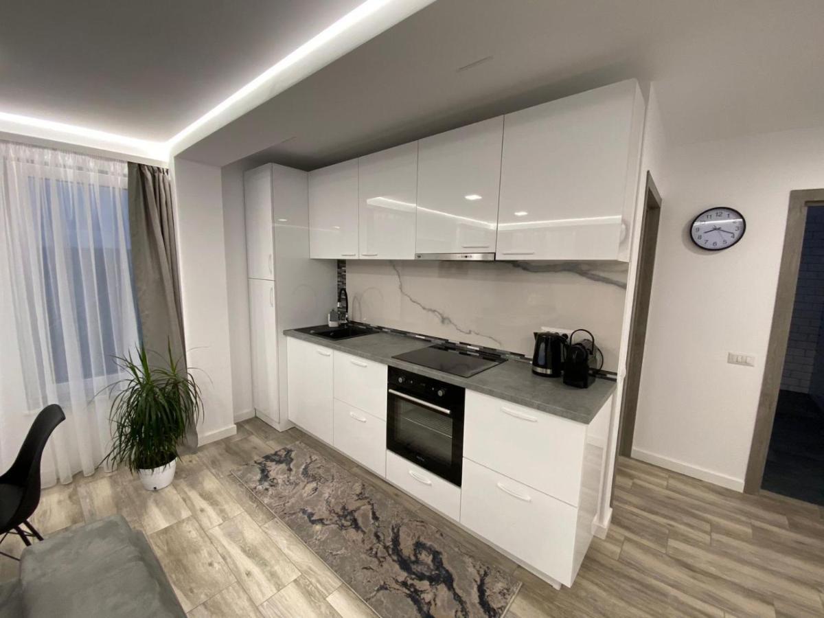 Lora Studio Apartman Szucsáva Kültér fotó